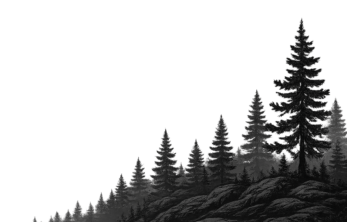 Drawing depicting treeline with pine trees and rocks.