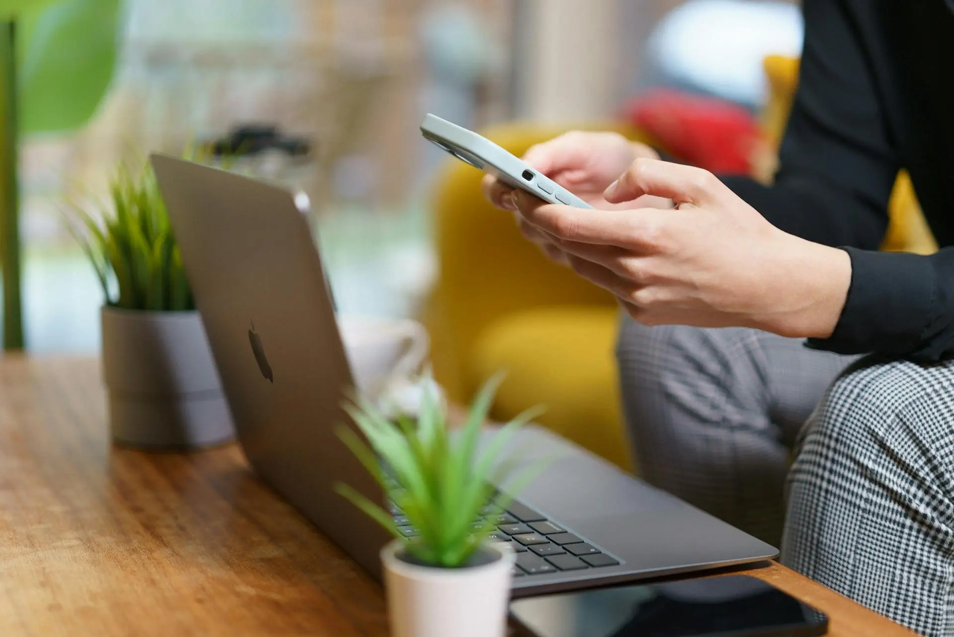Website professional providing ongoing support